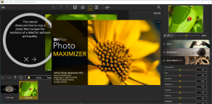 inpixiophotomaximizer5.10.7447