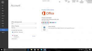 Microsoft Office Professional Plus 2013 1