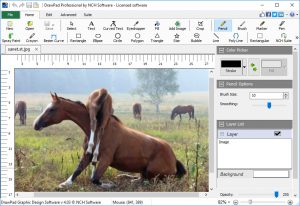 NCH DrawPad Pro