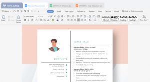 WPS Office