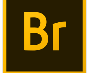 Adobe Bridge logo