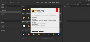 adobebridge10.0.4