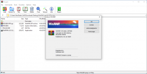 winrar5.91b1