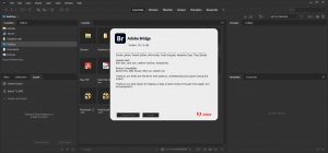 adobebridge10.1.0.163