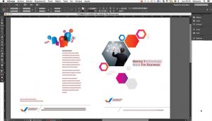 Adobe InDesign1