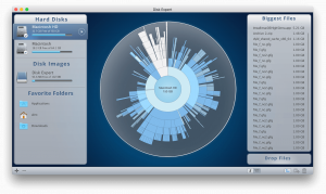 Disk Expert Pro1