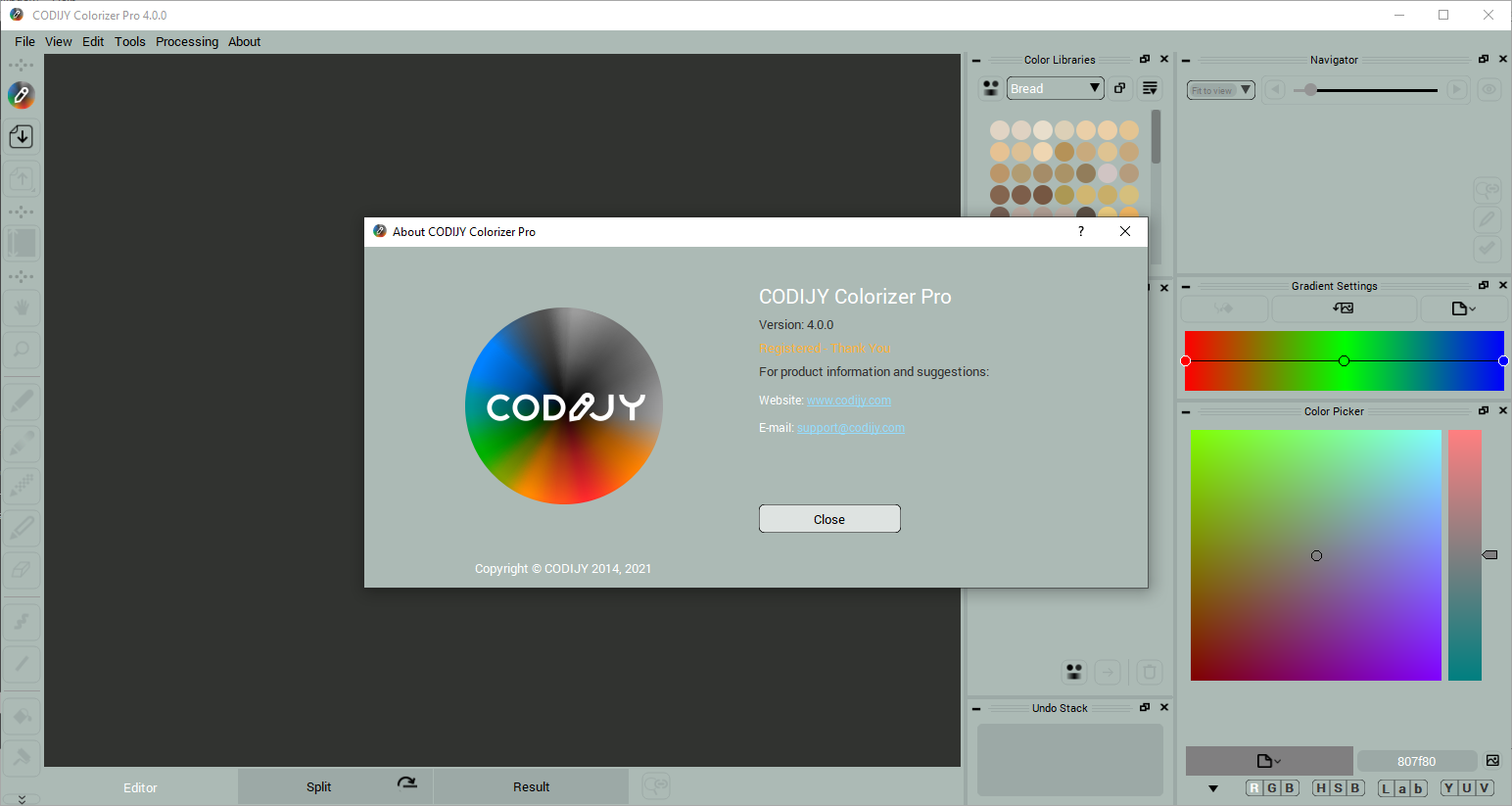 codijy pro photo colorization