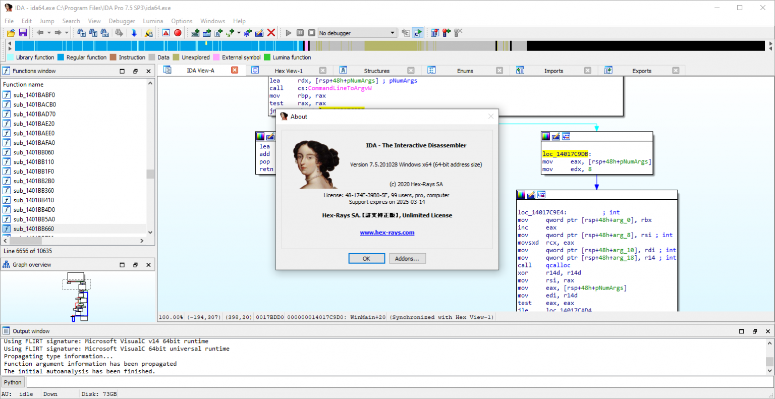 cracking software with ida pro