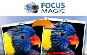 Focus Magic logo