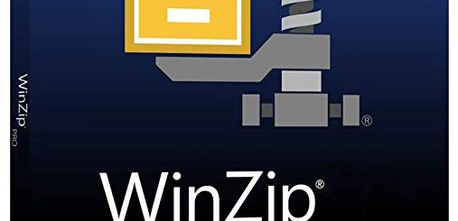 WinZip Pro crack