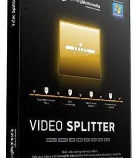 SolveigMM Video Splitter Business