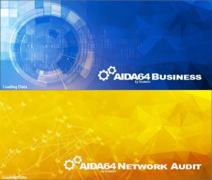 AIDA64 Business & Network Audit