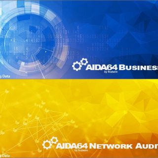 AIDA64 Business & Network Audit