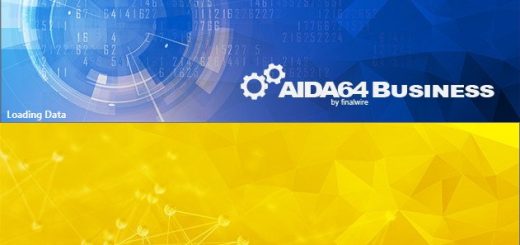 AIDA64 Business & Network Audit