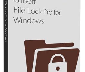 GiliSoft File Lock Pro logo