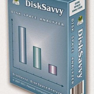 Disk Savvy Pro