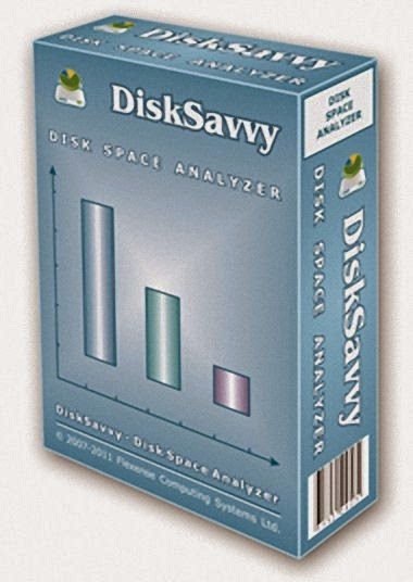 Disk Savvy Pro