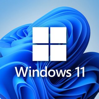 Windows 11 Pro logo