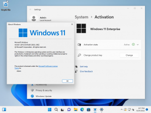 Windows 11 Enterprise 1