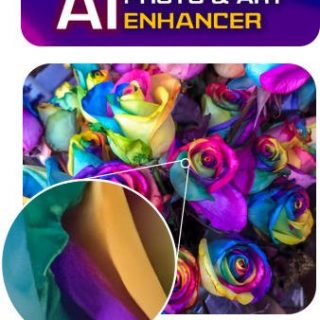 Mediachance AI Photo and Art Enhancer crack