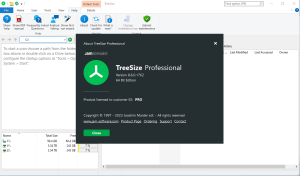 treesize professional crack