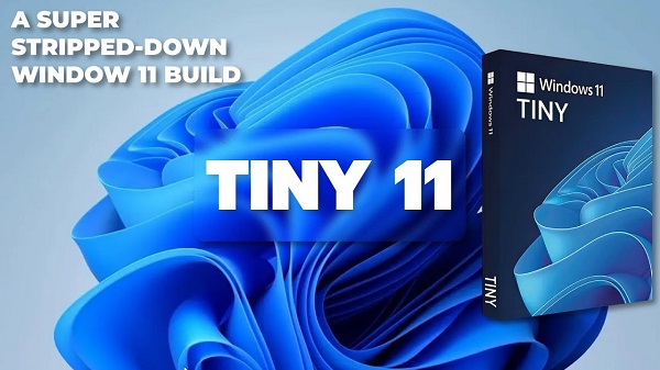 Tiny 11 22H2 For Windows 11 Lite, How To Download and Install? - TECHY BAG  in 2023