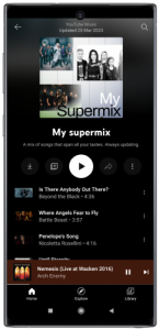 YouTube Music ReVanced premium