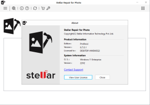 stellar repair for photo crack