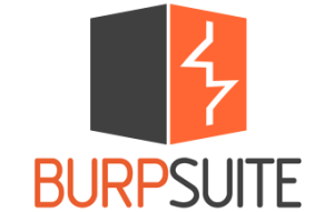 Burp Suite Professional