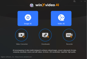 winxvideo ai