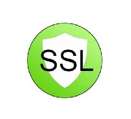 NetScanTools SSL Certificate Scanner