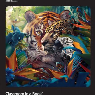 Adobe Photoshop - Classroom in a Book - 2024 Release - Lesson Files