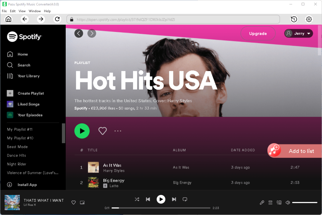 Pazu Spotify Music Converter1