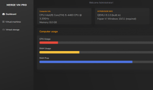 Merge VM Professional1