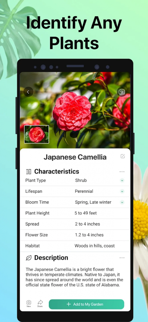 PictureThis - Plant Identifier1