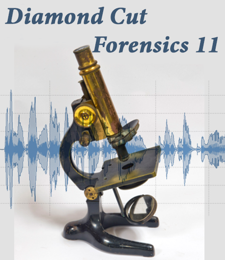 Diamond Cut Forensics Audio Laboratory