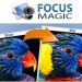 Focus Magic logo