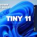 Tiny11